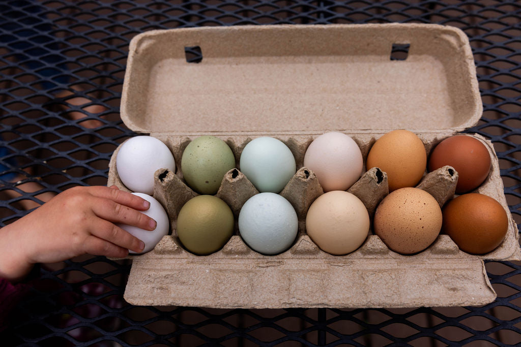 10 Week Egg Subscription