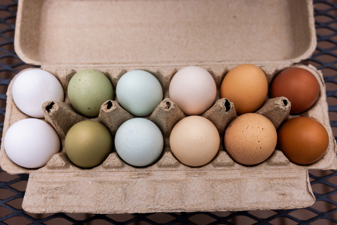 One Dozen Eggs
