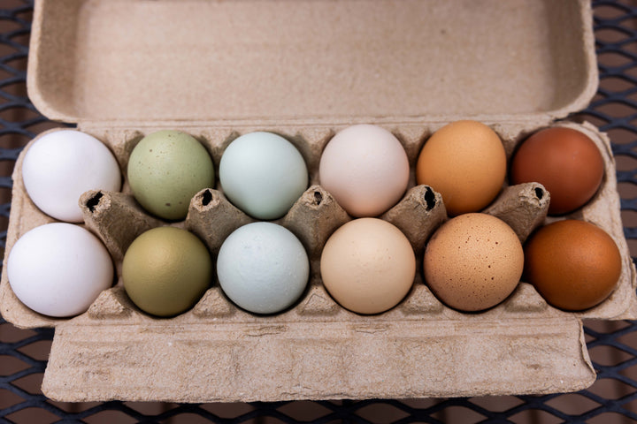 One Dozen Eggs