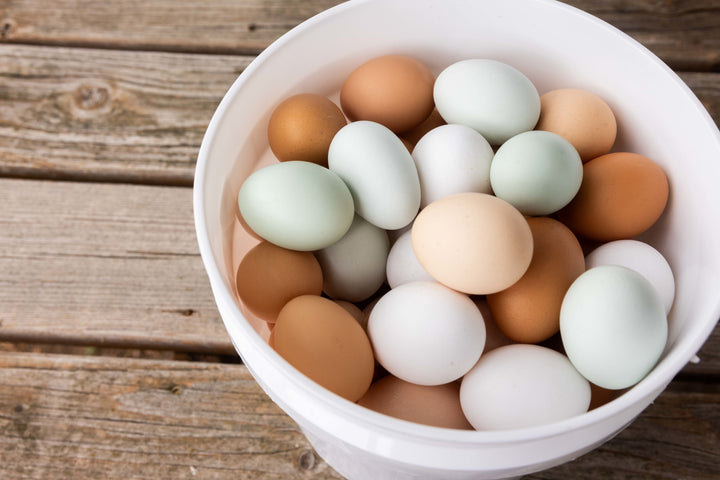 One Dozen Eggs