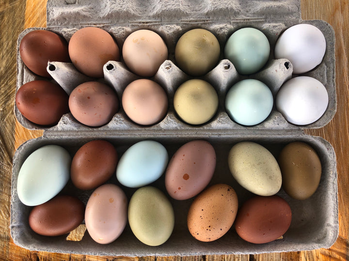 One Dozen Eggs